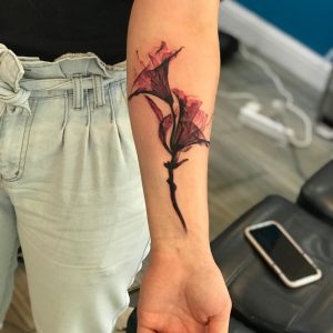 117889061_3203620846392247_2900289224478113497_n