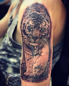 25507928_1557103421044006_5855664851392124748_n