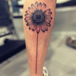 316155809_629346322208284_6488062989012258090_n