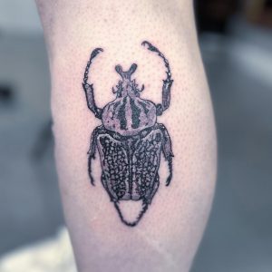 330477362_757550662685988_25042628532363664_n