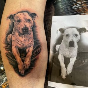 331782622_912109639983155_3687171012950995903_n