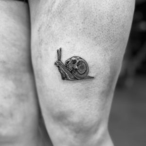 343772631_562554645758922_7749665512407258314_n