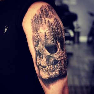 71794929_2466339356787070_4130298550519070720_n